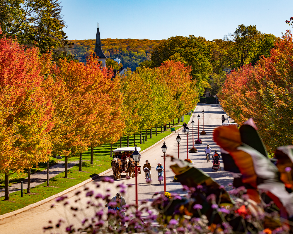 MackinacIsland